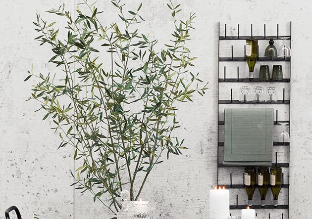 royken olive flora